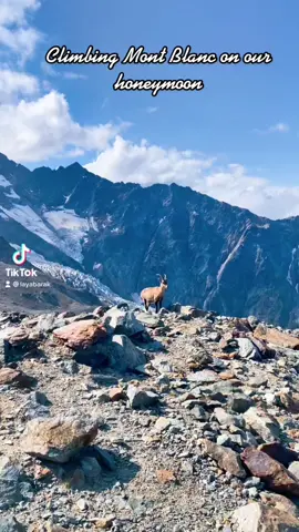 15,777 FEET! #fypシ #fyp #montblanc #chamonix #travel
