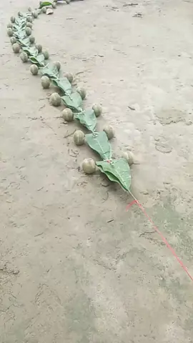 #😃😆গ্রামের ট্রেন গাড়ি 😆😆#tiktok #video
