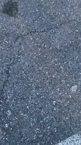 #fypシ