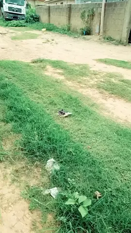 #Duet