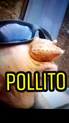 #amigostiktokerospower #pollosilbando #miprimermillon #SoulDancers
