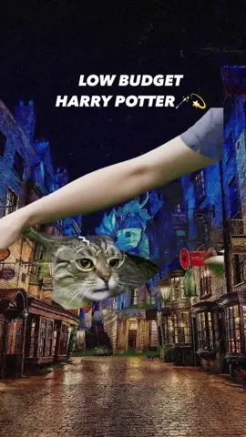 Harringo Potter got the invisibility cloak! Who wants to be in the cloak with me?🧙‍♀️🪄😻💕💕#harrypotter #invisibilitycloak #expectopatronum #catsoftiktok #cat #kitty #cats #kittens #funny