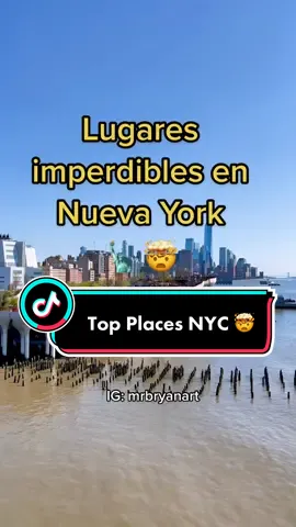 Vamos en el Verano ☀️☀️// Who wants to Go // #nuevayor #nuevayorktiktok #nuevayorkcity #littleisland @mrbryanart @mrbryanart @mrbryanart