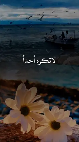 لاتكره أحداً #حكم #همسات #رماديات