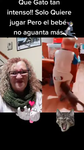 #dúo con @c........j2 Pobre Bebé  se la aguanto .🙀😽😼😻 #gato #bebe #viraltiktok