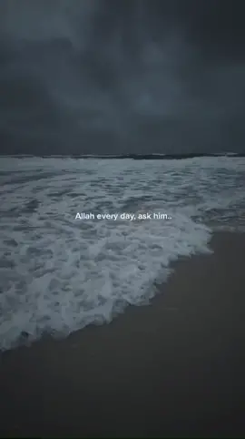 MUFTI MENK