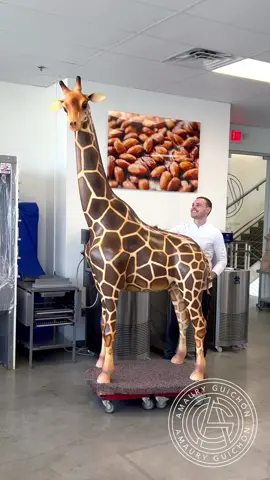 Chocolate Giraffe! 🦒This 8.3ft tall 100% chocolate sculpture is my biggest creation yet. #amauryguichon #chocolate #giraffe