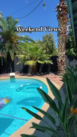 Lol I have had this sound saved for too long. 🤣 #weekendvibe #poolside #margaritas #backyardgoals  #goodvibrations