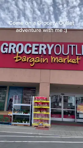 we had a ball #groceryoutlet #groceryhaul #veganfood #vegan #veganfoodtiktok #sunday #sandiego #healthfood #Vlog