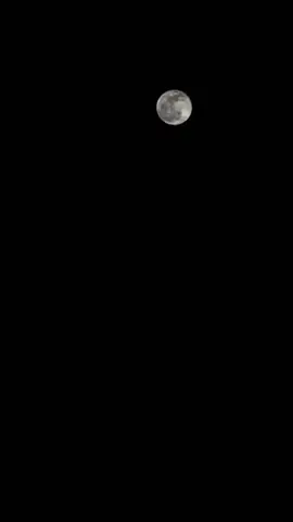 #تصويري لـ #القمر #explor #fyp #fouryou #tiktok #viral #espuma #حركة_الاكسبلور #عدستي #تيك_توك #تحديات_تيك_توك_جديد #الليل #قمر١٥ #الشعب_الصيني_ماله_حل😂😂 #شيلات