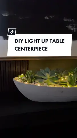 You can never have enough drainage with succulents — this soul is a MUST. @Miracle-Gro  #homedecor #diyproject #homediy