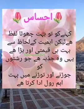 #fyp #urdudeepline #foru #foryoupag #fypシ゚viral🖤 #tabbasam321