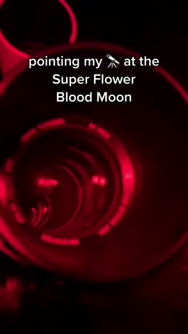 I captured the super flower blood moon eclipse last night! #astrophotography #spacetok #moon #telescope