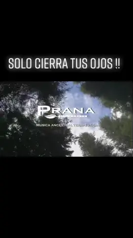 #musicamedicina #pachamama #agua #viento #fuego #medicinaancestral