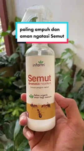 pernah gak mental health rusak akibat semut? 😌 #infarmid #foryoupage #fypシ #semut #solusirumah #obatsemut