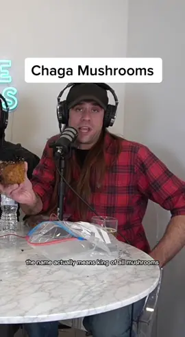 The King of All Mushrooms (Non-psychedelic) #fy #fyp #foryou #foryoupage #fypシ #toronto #chaga #mushrooms #memes #podcast #pod #podclips #new #trend #smartzombie #interview #health #healthcare #natural #politics #canada
