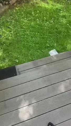 Every time I try to touch grass… #datamosh #touchgrass #computer