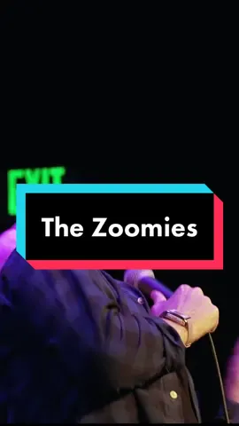 Zoomies🏎💨  #comedyclip #standup #comedian #pets #catsoftiktok #standupcomedy #zoomies