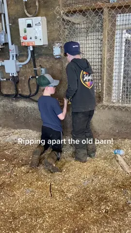 Helping with the renovations in the old barn! #construction #constructioncrew #tools #build #teachthemyoung #fy #fyp #foryou #oddlysatisfying #cute #old #follow #farm #farmtok #barn #farmlife #farmlifeisthebestlife #barn #agri #agriculture #proud #kidsoftiktok #farmingtiktok