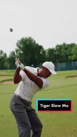 Poetry in motion 🏌️‍♂️#TigerWoods #TeamTaylorMade #TaylorMade #golftiktok #pgachampionship