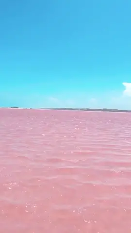 SALINAS DE LA ISLA DE COCHE❤ AL SUR DE LA ISLA DE MARGARITA EN EL ESTADO NUEVA ESPARTA VENEZUELA🇻🇪