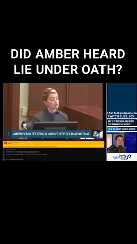 Did Amber Heard lie under oath? #amberheard #johnnydepp #foryoupage #foryou