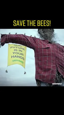 Save the humans!! Happy #WorldBeeDay 🐝 #bee #activism #greenpeace #bees