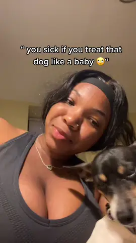 First off all that’s my son 💙#dogsoftiktok #fyp #katespadenycabana  #dogtok