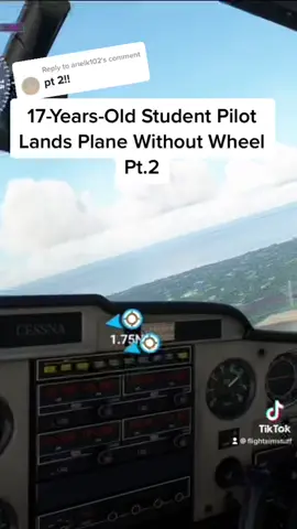 Reply to @arielk102 Great Job Maggie 👍 #microsoftflightsimulator2020 #aviation #avgeek #fyp