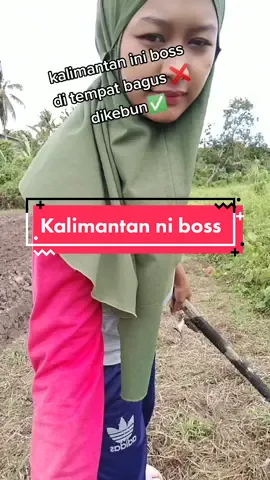 petani bahagia🤩🤩#kalimantan #kalimantanutara #kebun #happydikebun #semangatbertani