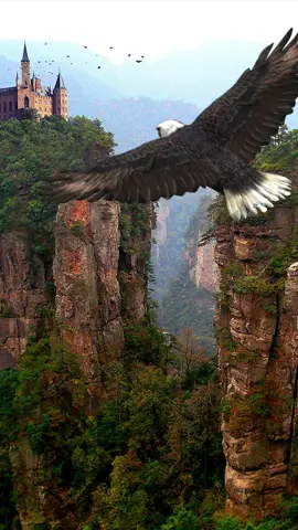 #scenery