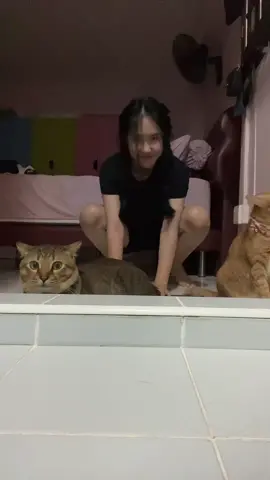 My cats r ok dont worry