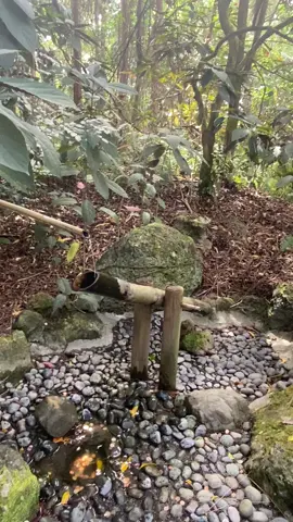 #bamboo #water #waterfountain #morikamigardens #relaxing #nature #peaceful #meditation #serenity #bamboowaterfountain #anticipation #dripp #drippin #dripping #drippingwater