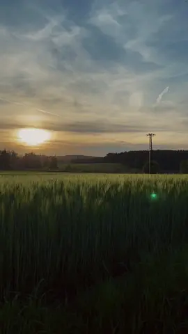 #cmbyn #visionsofgideon #italiansummer #Summer #nature #aesthetic #italy #europeansummer #sunset #fyp #callmebyyourname