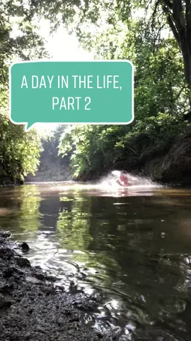 explored a 75 million year old ocean  #paleontology #adventure #discovery #fossils