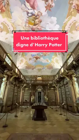 Je me demande bien ce qui se cache derrière cette porte ! #lieuinsolite #bonnesadresses #autriche🇦🇹  #harrypotter