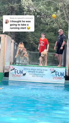 Reply to @ngbee0  He definitely got a little better 😆 #colin #dockdiving