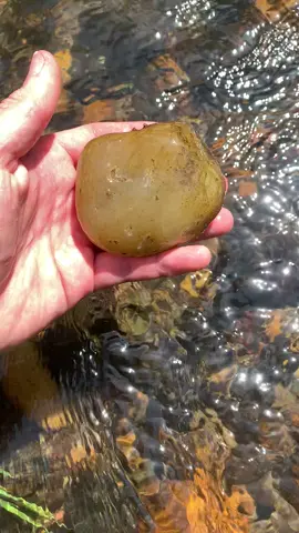 Nice creek find for the day #rock #fyp #geology #washington #pnw #oregon #agate #creek