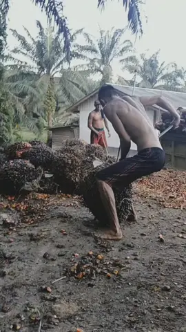otot kawat tulang besit#semangatkerja