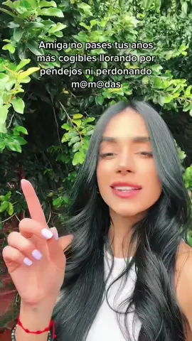 Consejo del día