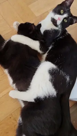 ☺️❤️