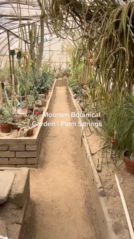 i’d go alone but it’s more fun with friends #moortenbotanicalgarden #palmsprings #california