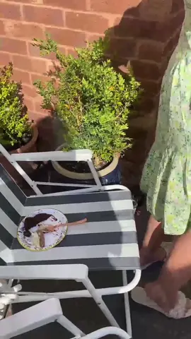 “BUTT “OF ALL #JOKES ….. my #sister never fails me !!!!SHES SAT ON MY #CAKES 😆😆😆😆😆 x #sisters #gardenparty #family #tiktok #funny #fyp