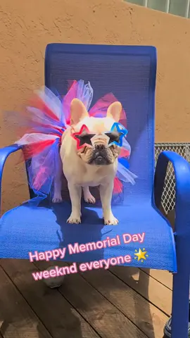 Hope everyone has an amazing weekend 💕  #memorialday #fyp #redwhiteandblue #veterans #usa #military #duet #dogtok #foryoupage #foryourpage #dogcommunity #petcomunity #tiktokdogs #petcommunity  #dogfashion #hellotiktok #tiktok #viral