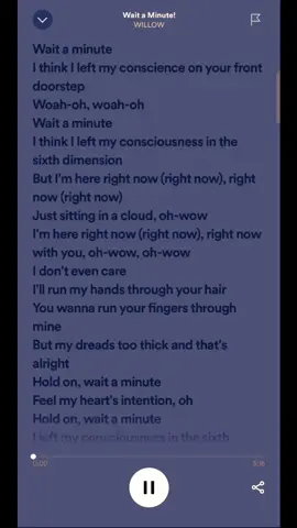 Wait a minute - WILLOW #fyp #waitaminute #music #song #lyrics