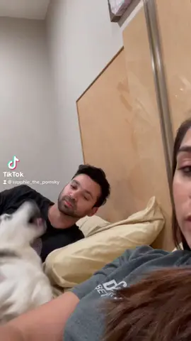 Daddy or mommy 🤔 #daddysgirl #mommysgirl #dogsoftiktok #dogparents