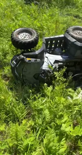 Mint #fypシ #foryoupage #fyp #4wheeler     ⚔️DONT take down⚔️ perform by a professional