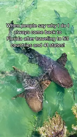 Florida girl born and raised. Calling this my home when I am not on the road! #floridagirl #floridalife #traveltiktok #keywest #orlando #floridatok #floridacheck #myhometown #whereiamfrom #sunshinestate #floridahype