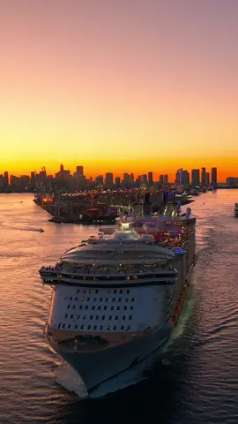 Oasis of the Seas 🌆 #cruise #sunset #oasisoftheseas #foryou #dronevideo #royalcaribbean