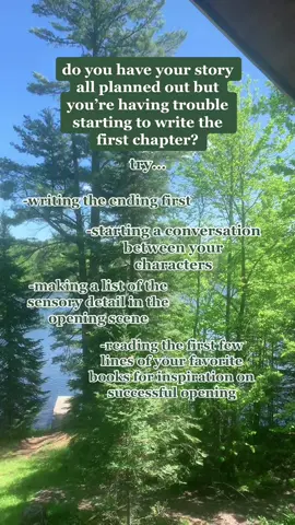 these are all things i’ve done before! opening scenes can be hard, but not impossible. special thanks to patrons bailey, sally, and toby :) #writingtips #youngauthor #writersoftiktok #writertok